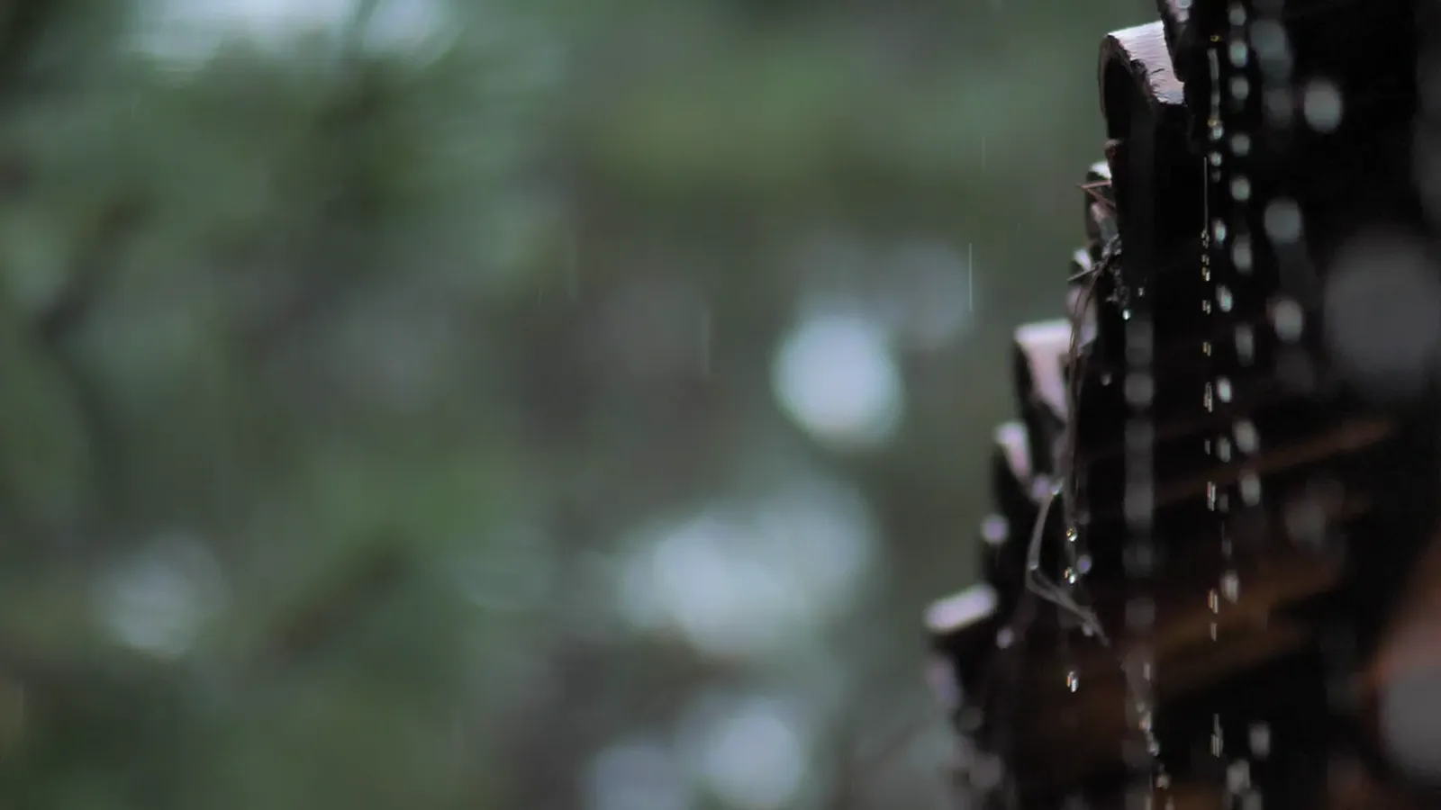 Rainwater dripping off the edge of a dark roof